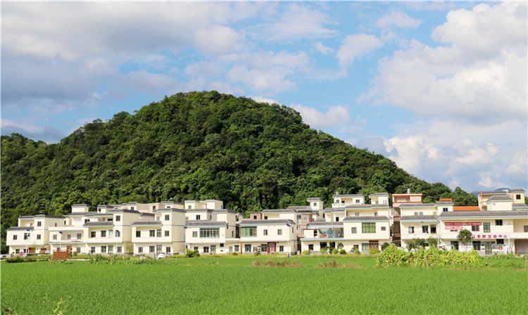 沙園村全村面貌煥然一新。（清遠日報特約通訊員張麗思 攝）.jpg