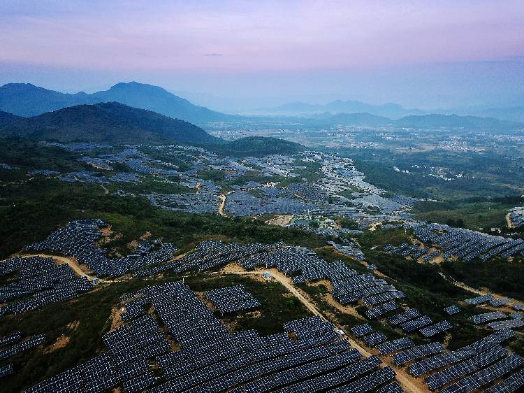陽山太平50MW農(nóng)業(yè)光伏電站。通訊員供圖.jpg